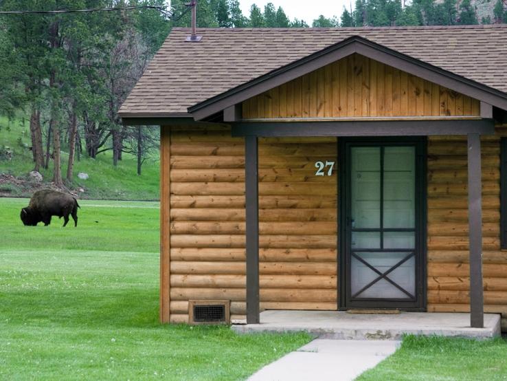 Cabin w/ Buffalo