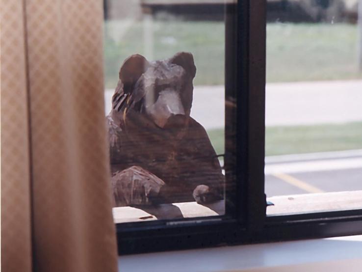 Mitchell Bear
