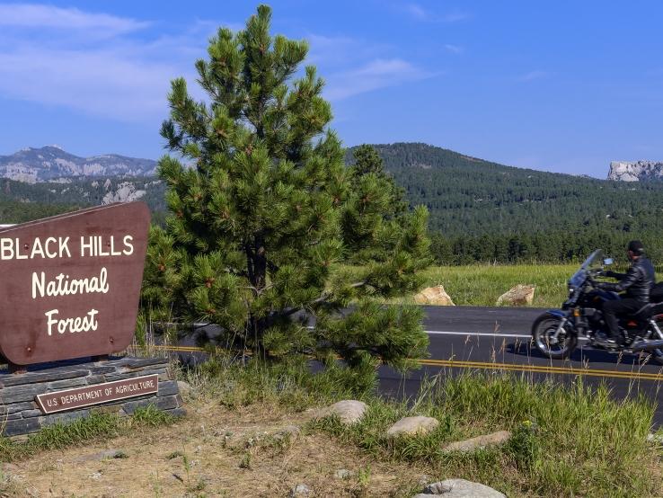 Black Hills National Forest