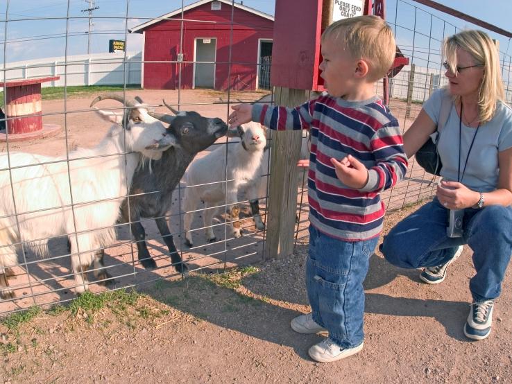Old MacDonald's Farm, Rapid City