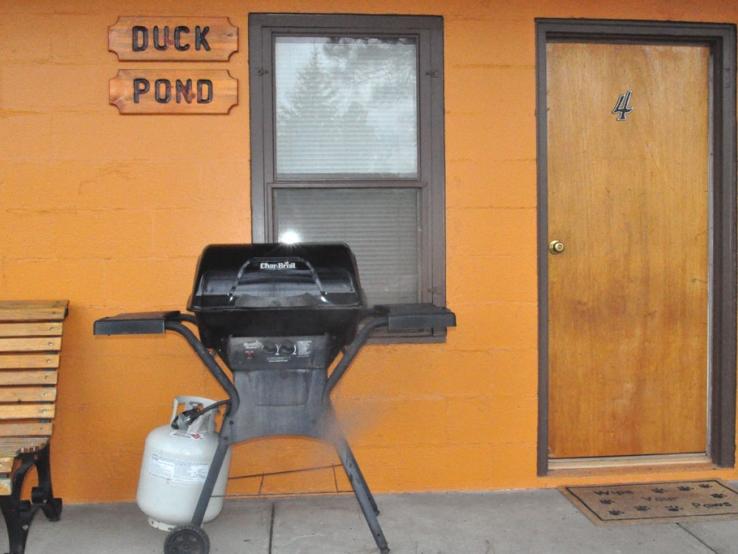 duck pond