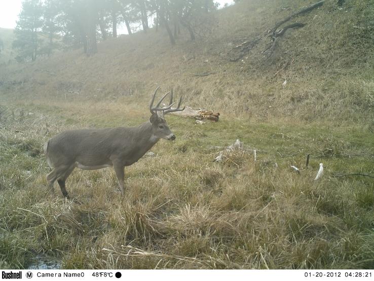 Hunting Camp Photos