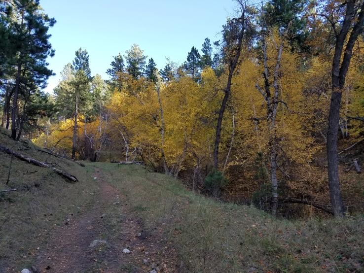 Hunting Camp Photos