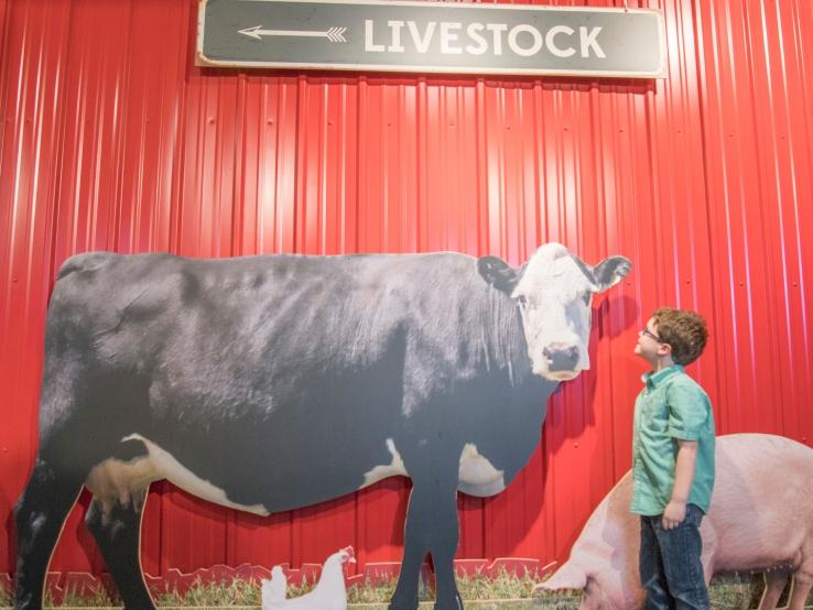 Stockyards Ag Experience