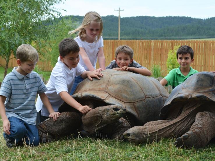 Reptile Gardens&#039; Giant Tortoises