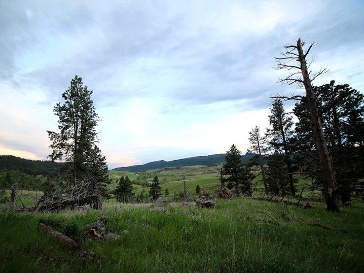 Fort Meade Recreation Area, Sturgis