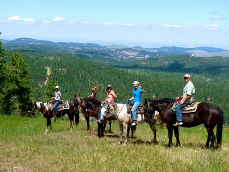 Andy&#039;s Trail Rides