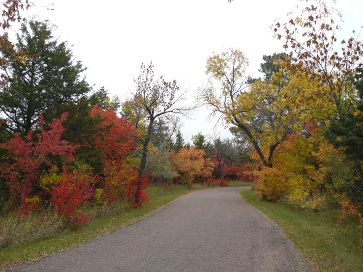 Fall Colors 2