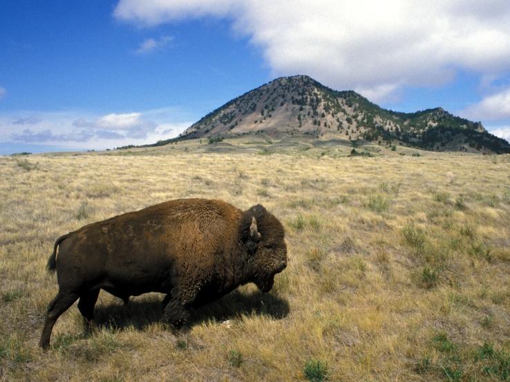 Bear Butte State Park