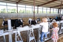 Dairy Fest, Brookings