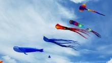 Brookings Kite Festival, Brookings