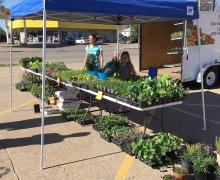 Market at the Meridian, Yankton