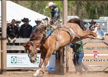 Back When They Bucked, Deadwood