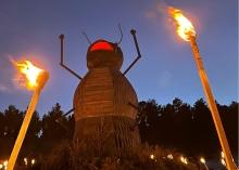 Burning Beetle, Custer