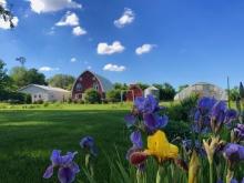 Good Roots Farm & Gardens, Brookings