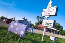 The Purple Cow Ice Cream Parlor, Waubay