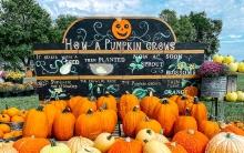Mazing Acres Pumpkin Patch, Yankton