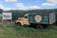 Big Stone Pumpkin Patch, Big Stone City