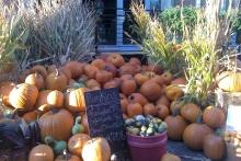 Spearfish Corn Maze & Pumpkin Patch, Spearfish