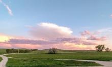 Dennis Ranch, Red Owl
