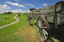 Prairie Homestead Farmstead