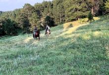 Woodland Ranch & Resort, Allen