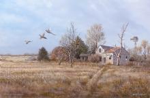 The Faulkton Pheasant Camp