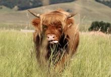 Black Hills Highlands, Spearfish