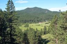 Entering Silver City