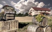 Valiant Vineyards, Vermillion
