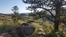 Hanson-Larsen Memorial Park, Rapid City