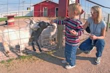 Old MacDonald&#039;s Farm, Rapid City