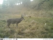 Hunting Camp Photos