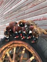 Royal Flush Hunting Lodge