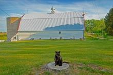 Wilde Prairie Winery, Brandon
