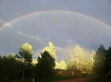 Great Cabins and Awesome Views!