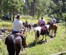 Gunsel Horse Adventures