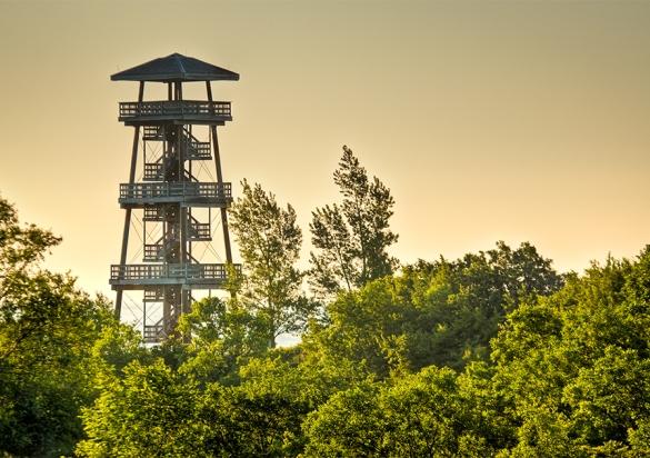 Nicollet Tower