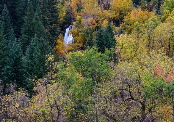 spearfish canyon