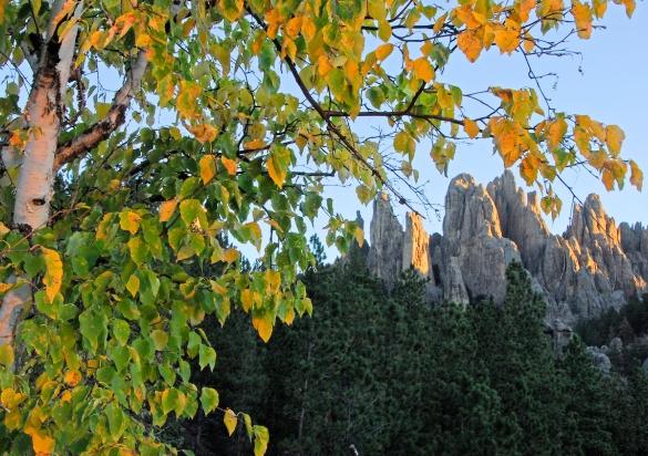 Needles Highway