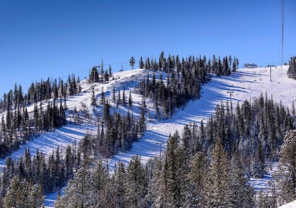 terry peak