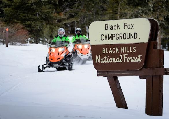 Black Hills National Forest