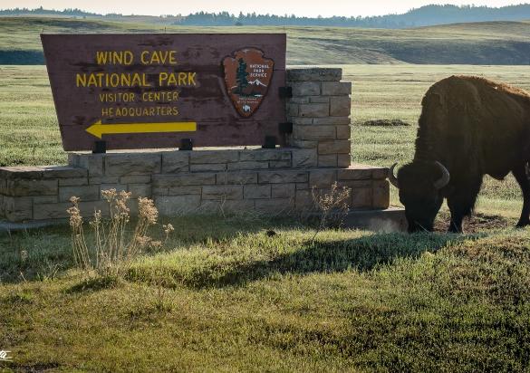 Wind Cave National Park