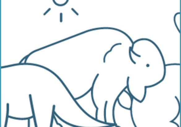 Bison