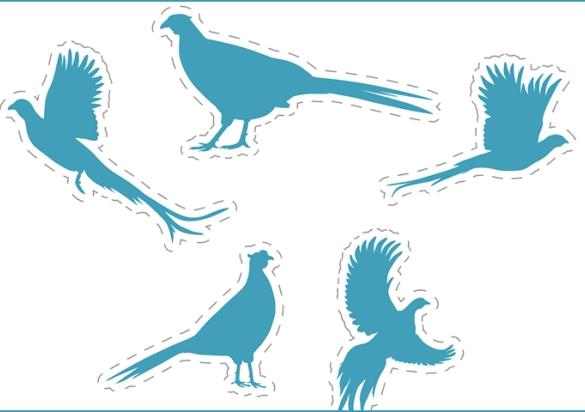 Pheasant Hunt