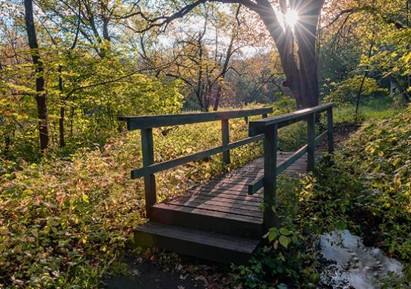 Sica Hollow State Park