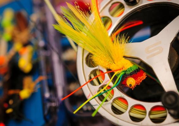 Fly fishing reel