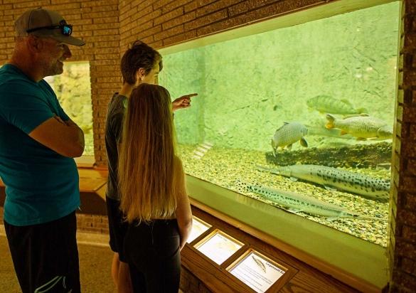 Family enjoying aquarium exhibits