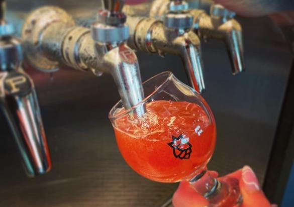 Beer poured at Cohort Craft Brewery
