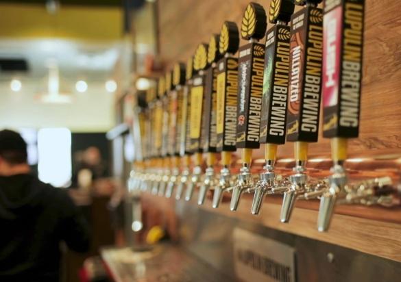 Taps at Lupulin Brewery